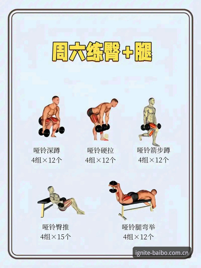 掌握最新百博sports运动的五个实用技巧：从入门到精通
