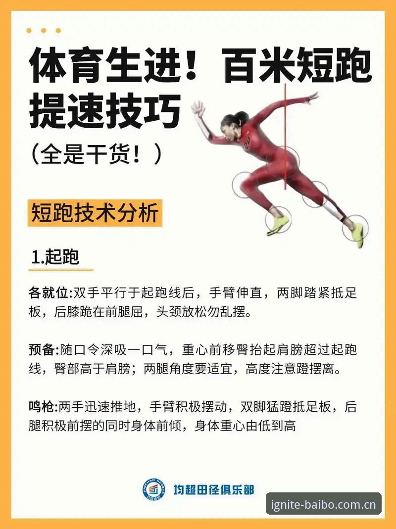 百博体育平台实用技巧：从新手到达人的必备知识